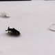 Image for article titled 9 Amazing Pieces of Art Sculpted Entirely by 3D Printer